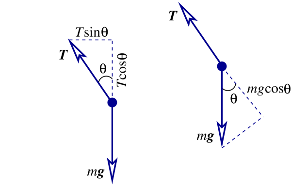 Geometry of the forces acting on the simple pendulum