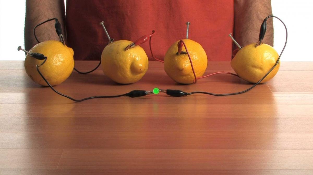 fruit power battery with lemons
