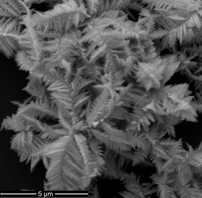 5) nanodendritic crystal grown on a silicon substrate
