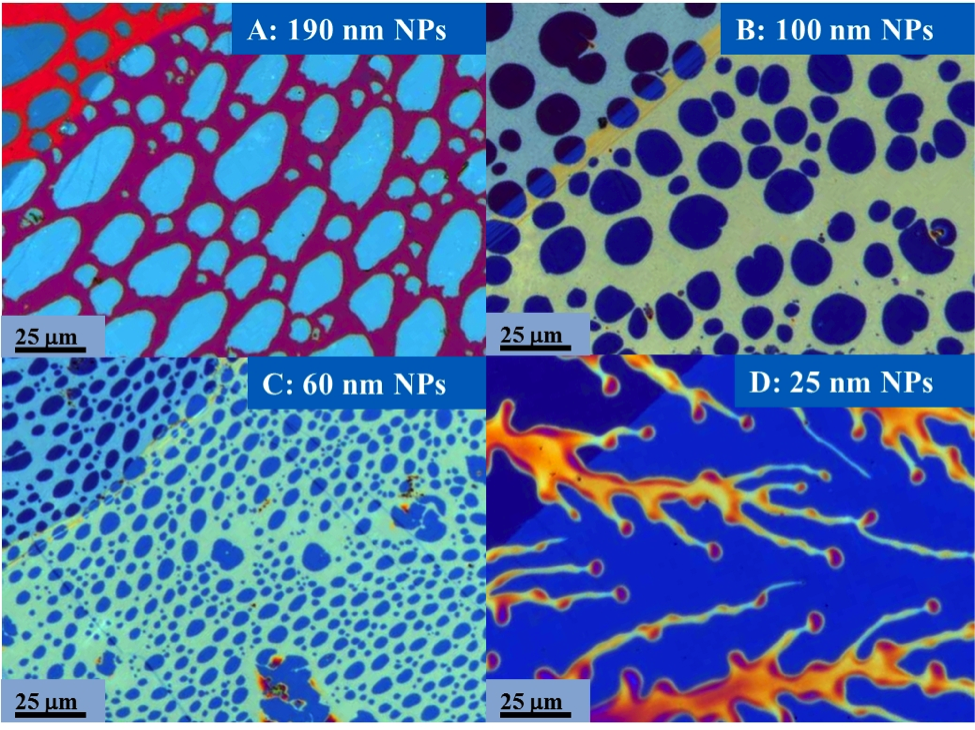 Beautiful Monolayer Patterns Pattern formation in spincoated films of polystyrene nano spheres