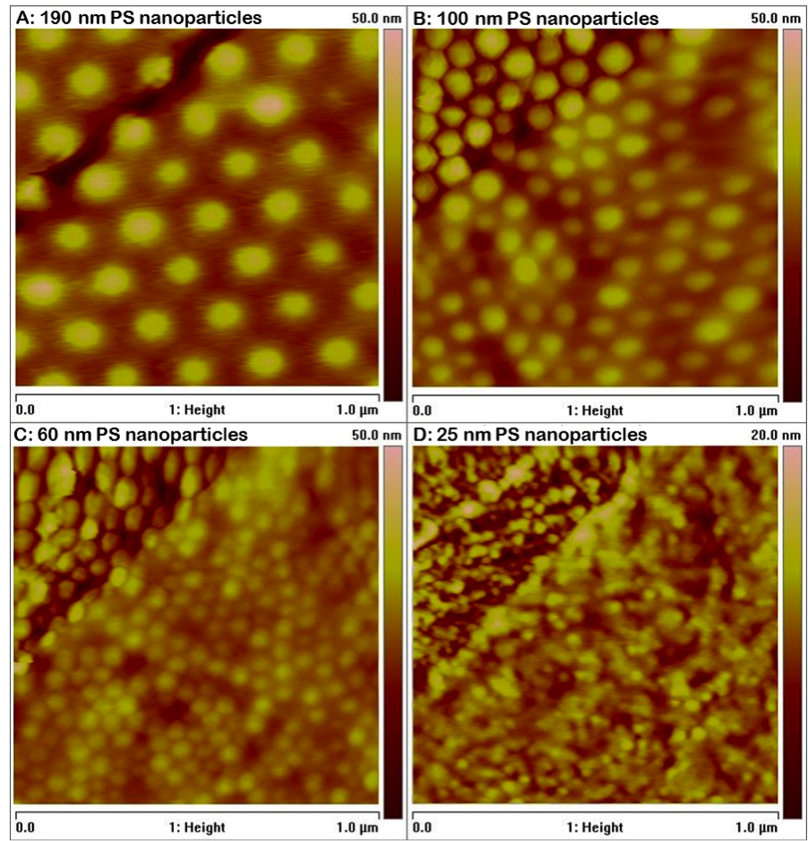  Close-packed polystyrene nanospheres capped by ultrathin PS film