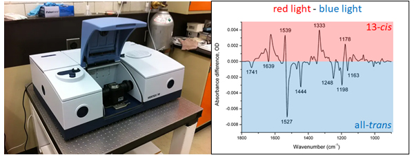 One of the University of Guelph’s FTIR spectrometers (left), as well as an example of the FTIR difference spectrum of a membrane protein, produced by illumination. 