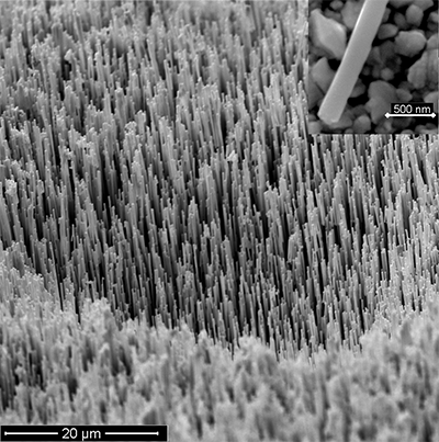 Gold nanowire (200 nm dia.) array obtained at 45o angle. A single Au wire is shown in the inset image