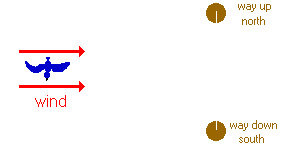 diagram indicating wind directions around a flying bird