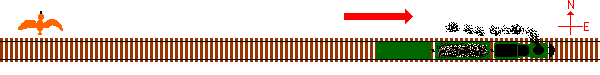 diagram of a bird flying North away from a train moving East