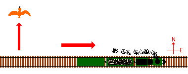 diagram of bird flying north away from a train moving east with directional arrows