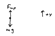 diagram indicating Force up and gravity