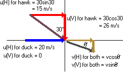 diagram of duck and hawk with all variables and angles indicated
