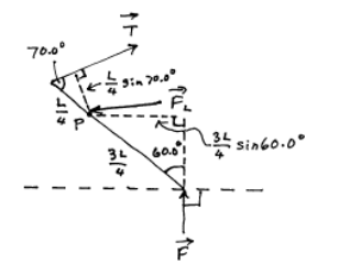 Free Body Diagram for a foot