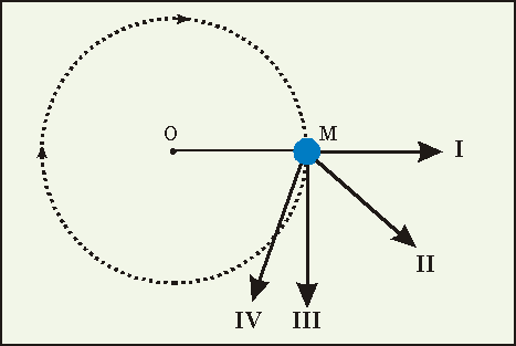 Diagram of a mass M, attached to a piece of string OM, is whirled round over a person's head in a horizontal circle. 