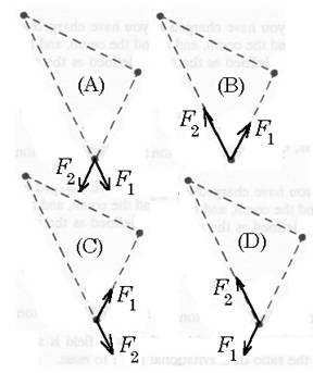 Four possible coordinate systems; A, B, C, D.