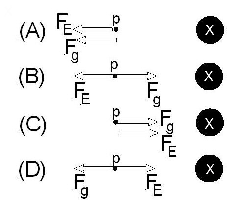 Four possible diagrams; A, B, C, D, of a proton in space subjected to two fields. 