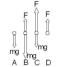 Possible free body diagrams A, B, C, D.
