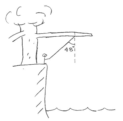 Diagram of a tree on the edge of a cliff with water below. A rope hangs from a branch hanging over the water.