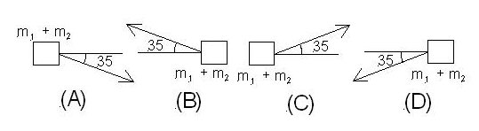 Four possible FBD with angles and directions indicated.