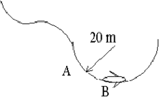 diagram of bird's flight path