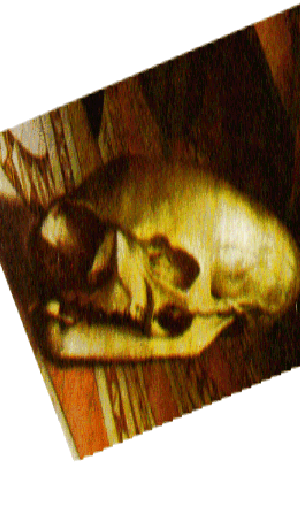 skull detail from the Ambassadors' painting