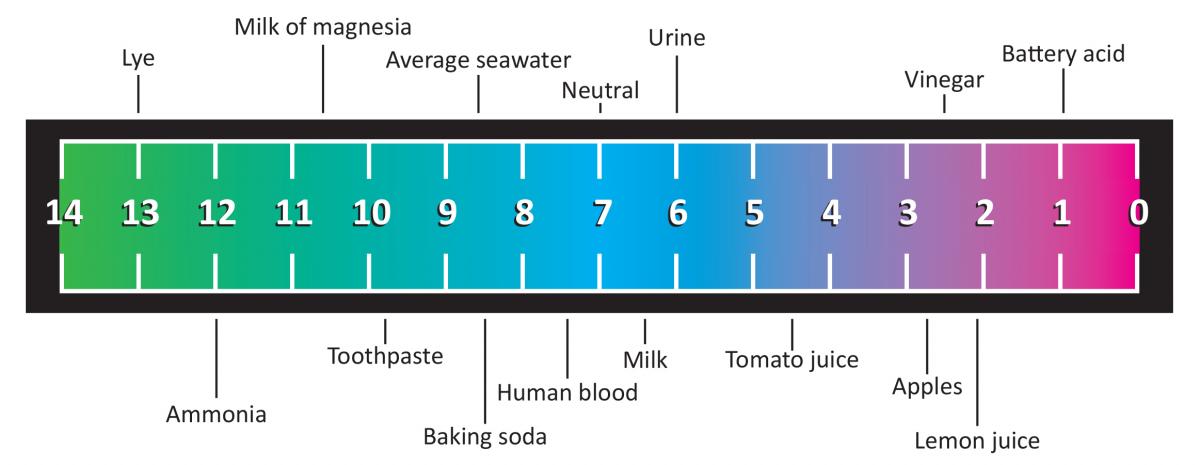 Red Cabbage Juice Indicator Chart